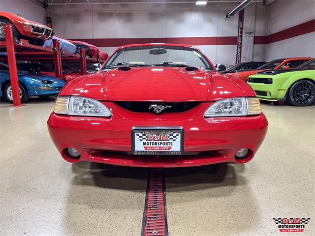 1997 Ford Mustang SVT Cobra (CC-2097674) for sale in Glen Ellyn, Illinois