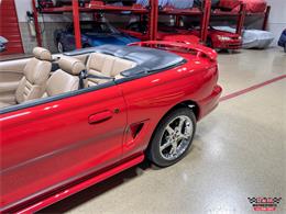 1997 Ford Mustang SVT Cobra (CC-2097674) for sale in Glen Ellyn, Illinois