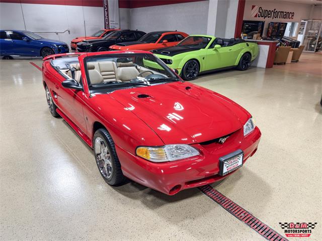 1997 Ford Mustang SVT Cobra (CC-2097674) for sale in Glen Ellyn, Illinois