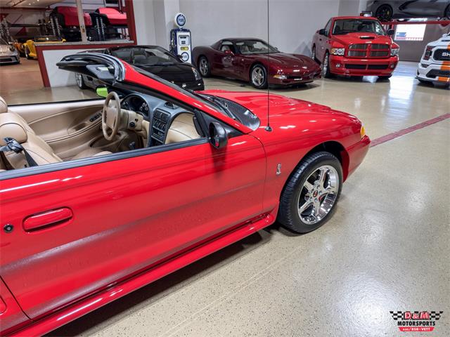 1997 Ford Mustang SVT Cobra (CC-2097674) for sale in Glen Ellyn, Illinois