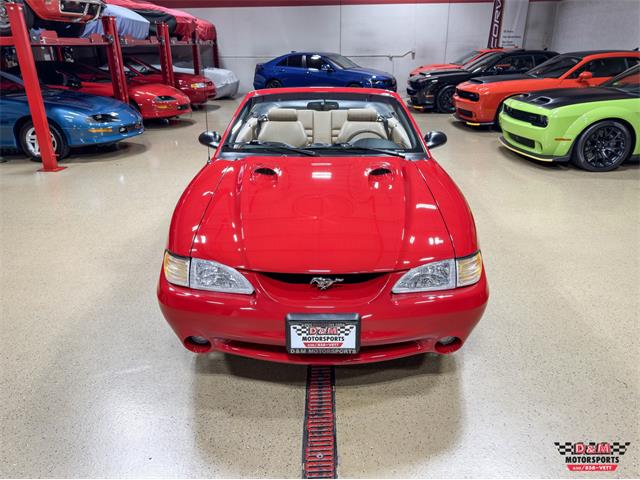 1997 Ford Mustang SVT Cobra (CC-2097674) for sale in Glen Ellyn, Illinois