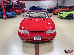 1997 Ford Mustang SVT Cobra (CC-2097674) for sale in Glen Ellyn, Illinois