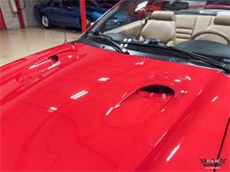 1997 Ford Mustang SVT Cobra (CC-2097674) for sale in Glen Ellyn, Illinois