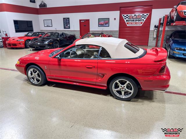 1997 Ford Mustang SVT Cobra (CC-2097674) for sale in Glen Ellyn, Illinois