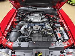 1997 Ford Mustang SVT Cobra (CC-2097674) for sale in Glen Ellyn, Illinois