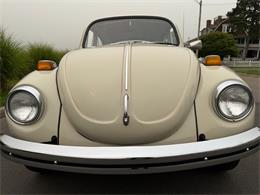 1971 Volkswagen Beetle (CC-2090770) for sale in Milford City, Connecticut