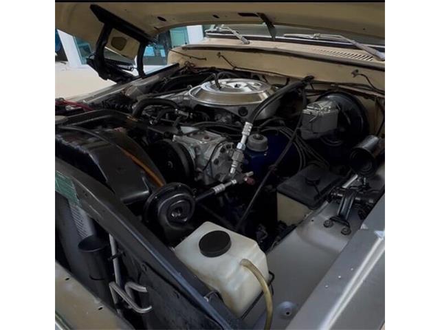 1979 Ford F150 (CC-2097700) for sale in Bradenton, Florida
