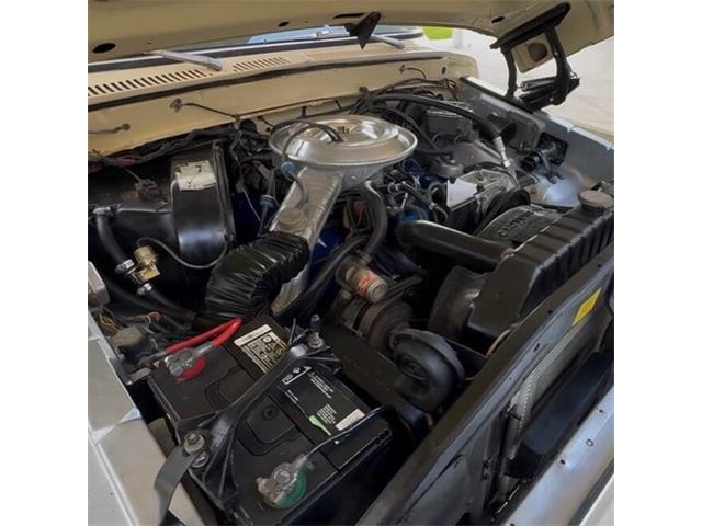 1979 Ford F150 (CC-2097700) for sale in Bradenton, Florida