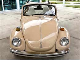 1971 Volkswagen Beetle (CC-2097705) for sale in Bradenton, Florida