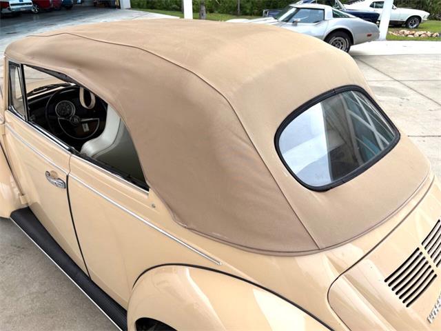 1971 Volkswagen Beetle (CC-2097705) for sale in Bradenton, Florida