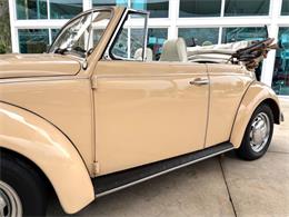 1971 Volkswagen Beetle (CC-2097705) for sale in Bradenton, Florida