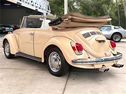 1971 Volkswagen Beetle (CC-2097705) for sale in Bradenton, Florida