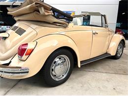 1971 Volkswagen Beetle (CC-2097705) for sale in Bradenton, Florida