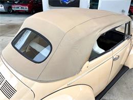 1971 Volkswagen Beetle (CC-2097705) for sale in Bradenton, Florida
