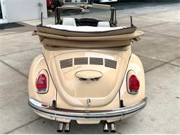 1971 Volkswagen Beetle (CC-2097705) for sale in Bradenton, Florida