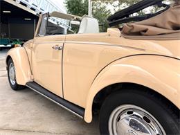 1971 Volkswagen Beetle (CC-2097705) for sale in Bradenton, Florida