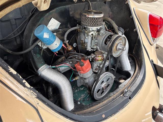 1971 Volkswagen Beetle (CC-2097705) for sale in Bradenton, Florida