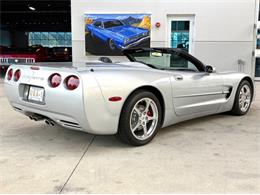 1998 Chevrolet Corvette (CC-2097710) for sale in Bradenton, Florida