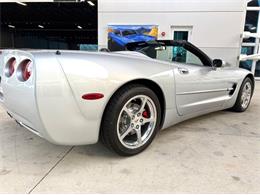 1998 Chevrolet Corvette (CC-2097710) for sale in Bradenton, Florida