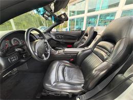 1998 Chevrolet Corvette (CC-2097710) for sale in Bradenton, Florida