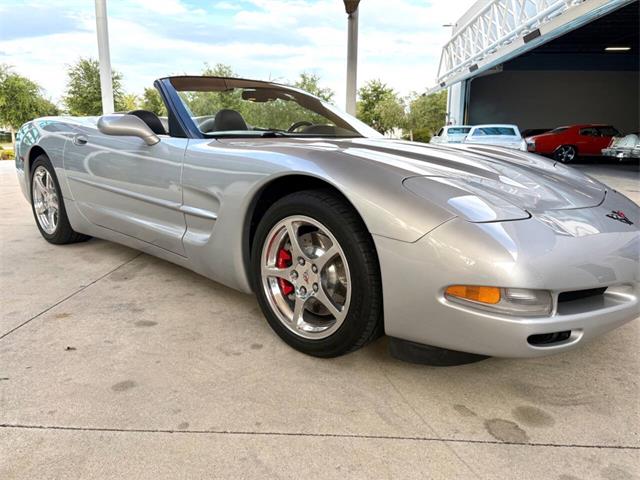 1998 Chevrolet Corvette (CC-2097710) for sale in Bradenton, Florida