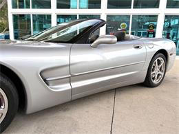 1998 Chevrolet Corvette (CC-2097710) for sale in Bradenton, Florida