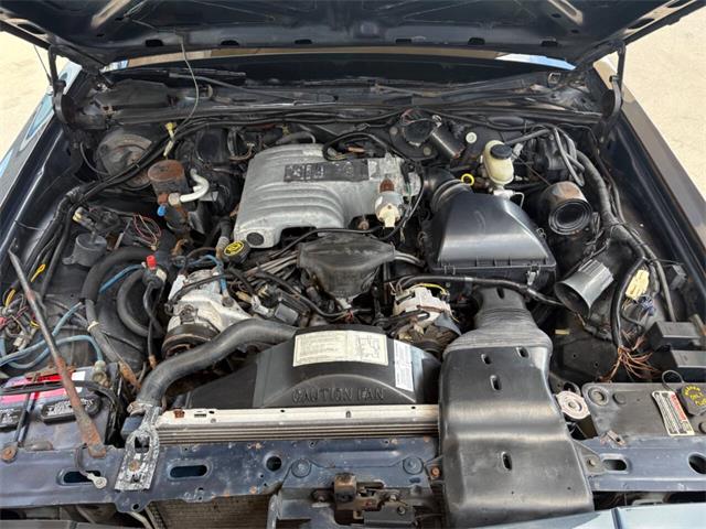 1988 Ford Crown Victoria (CC-2097713) for sale in Bradenton, Florida