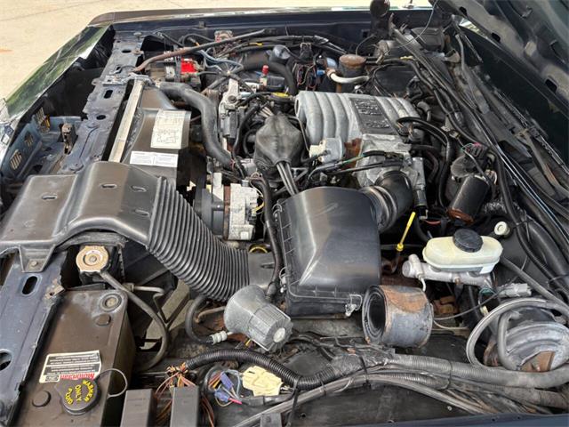 1988 Ford Crown Victoria (CC-2097713) for sale in Bradenton, Florida