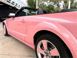 2006 Ford Mustang (CC-2097726) for sale in Bradenton, Florida