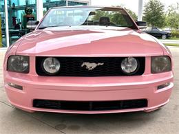 2006 Ford Mustang (CC-2097726) for sale in Bradenton, Florida