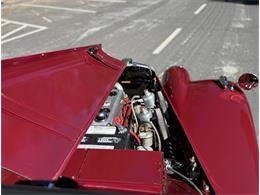 1954 MG TF (CC-2097753) for sale in Grass Valley, California