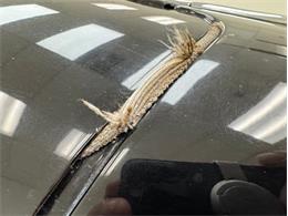 1938 Packard Eight (CC-2097774) for sale in Morgantown, Pennsylvania