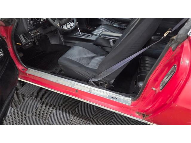 1981 Chevrolet Camaro (CC-2097799) for sale in Mankato, Minnesota