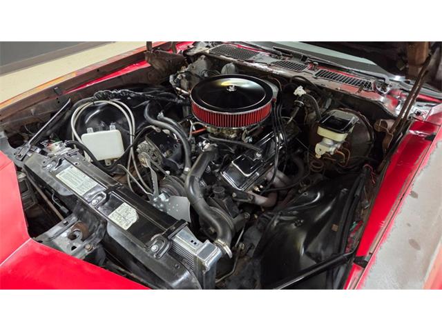 1981 Chevrolet Camaro (CC-2097799) for sale in Mankato, Minnesota