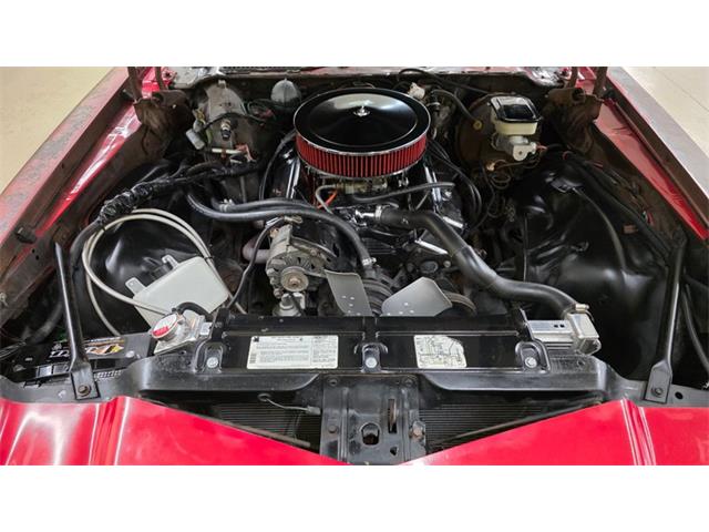 1981 Chevrolet Camaro (CC-2097799) for sale in Mankato, Minnesota