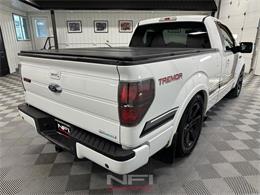 2014 Ford F150 (CC-2097806) for sale in North East, Pennsylvania