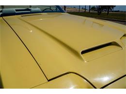 1972 Pontiac LeMans (CC-2097815) for sale in Ramsey, Minnesota
