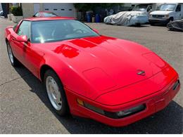 1995 Chevrolet Corvette (CC-2097882) for sale in Woodbury, New Jersey