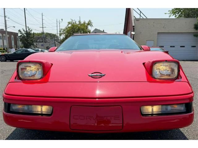 1995 Chevrolet Corvette (CC-2097882) for sale in Woodbury, New Jersey