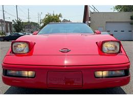 1995 Chevrolet Corvette (CC-2097882) for sale in Woodbury, New Jersey