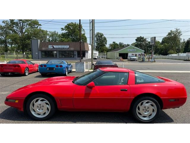 1995 Chevrolet Corvette (CC-2097882) for sale in Woodbury, New Jersey