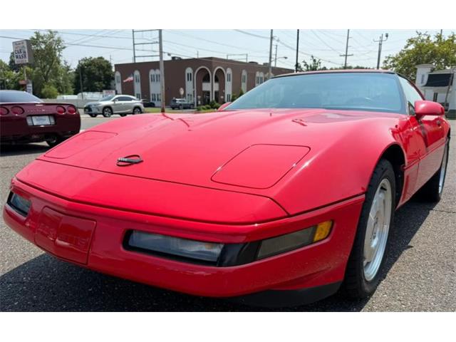 1995 Chevrolet Corvette (CC-2097882) for sale in Woodbury, New Jersey