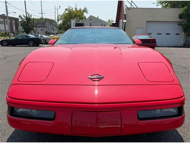 1995 Chevrolet Corvette (CC-2097882) for sale in Woodbury, New Jersey