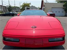 1995 Chevrolet Corvette (CC-2097882) for sale in Woodbury, New Jersey