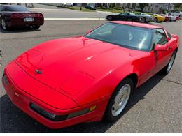 1995 Chevrolet Corvette (CC-2097882) for sale in Woodbury, New Jersey