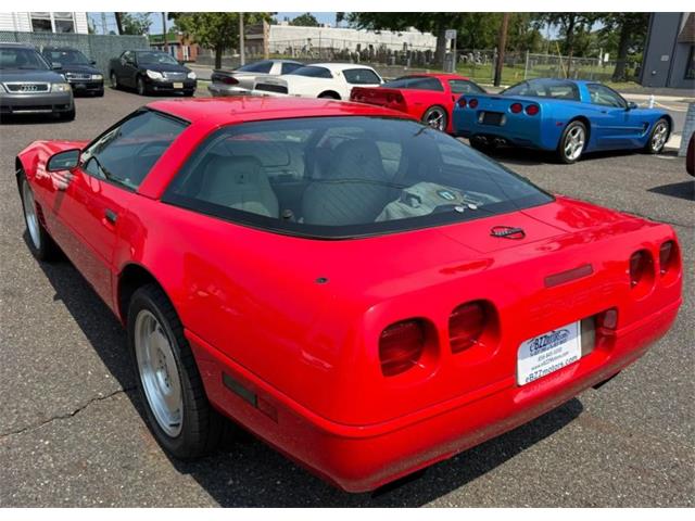 1995 Chevrolet Corvette (CC-2097882) for sale in Woodbury, New Jersey