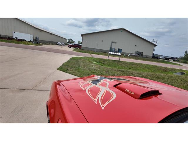 1978 Pontiac Firebird Trans Am (CC-2097885) for sale in Sioux Falls, South Dakota