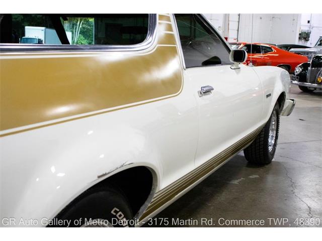 1979 Ford Ranchero (CC-2097957) for sale in Kentwood, Michigan