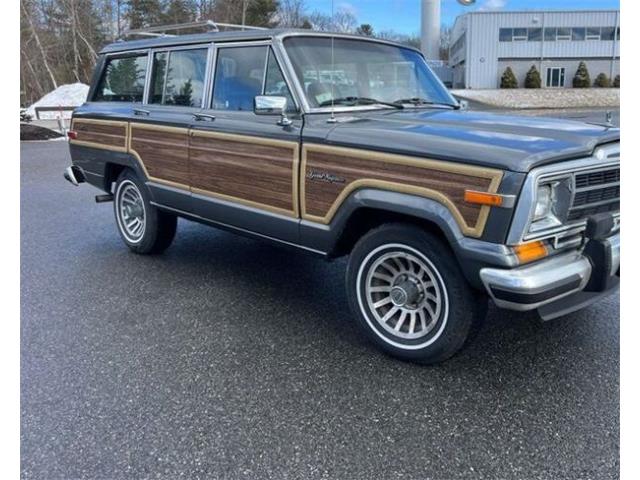 1989 Jeep Grand Wagoneer (CC-2097974) for sale in Cadillac, Michigan