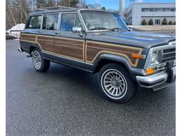 1989 Jeep Grand Wagoneer (CC-2097974) for sale in Cadillac, Michigan
